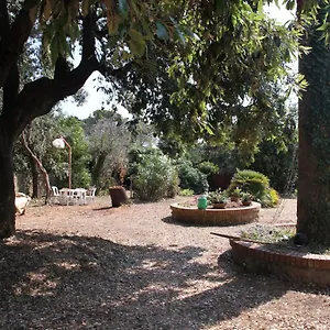 Casale Con Accesso Mare, Grande Giardino E Basket Casa vacanze